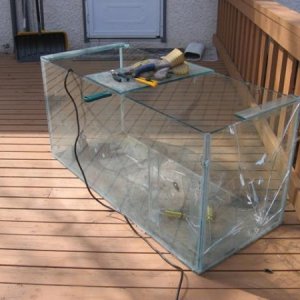 Original 90gal tank.  The one side is badly damage and the bottom heavily cracked as well.
