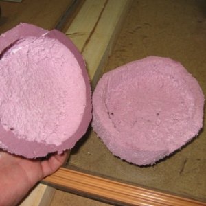 moist hide interior