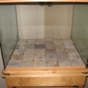 Aquarium 77