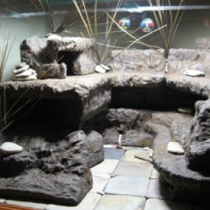 Aquarium 96