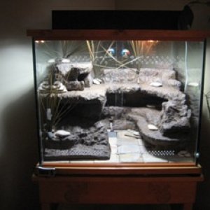 Aquarium 98