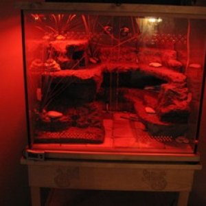 Aquarium 99