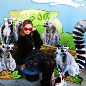 at the zoo