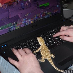 Blizz enjoying wow
