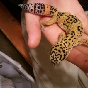 Io, my little male model :)