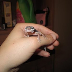 :) he's so cute <3