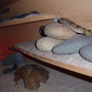 shadow climbing rocks
