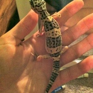 and a jolly belly :)