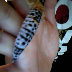 Hes got some carrot tail