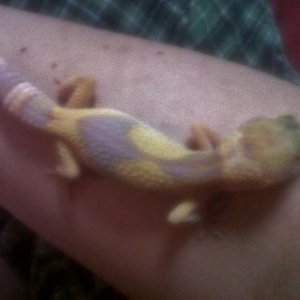 about 4 months old