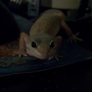 My very first baby, Clare, much more grown up.