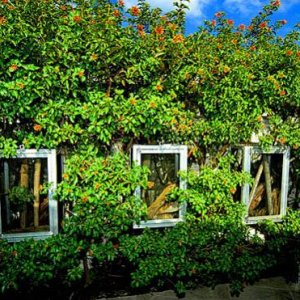 Caging from www.GeckosInc.com