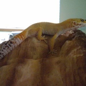 Lizzy May 5 2012