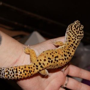 Danny's pretty spots