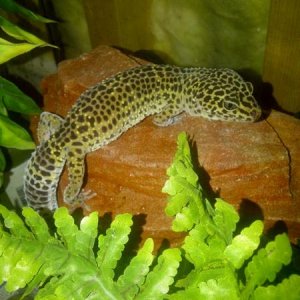 She loves to climb