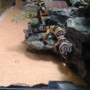 2012 06 03 08.38.40 1