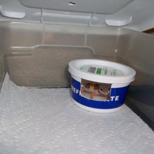 there is Kaliope when I first got her in her mealworm cup moist hide!