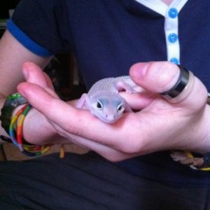 Elvis, the day I got her and Casper.