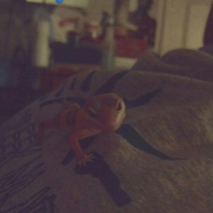 Crawling on daddy
