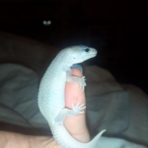Will not let go if shea scared. /: