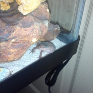 Thats herrrr corner!