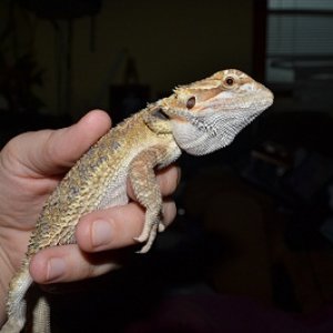 this is when he had been with me a little while