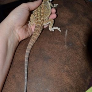 this is when he had been with me a little while