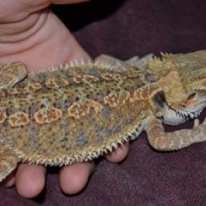 this is after he had been with me a little while