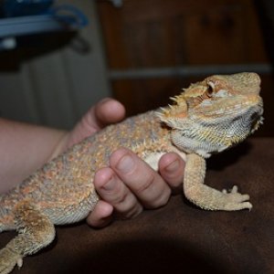 recent as of 9/17/2012