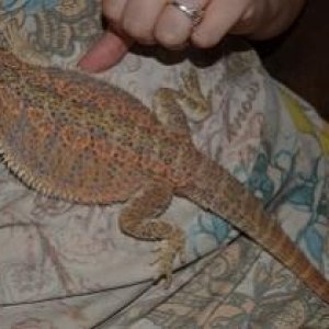 recent as of 9/17/2012