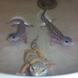 My cuties