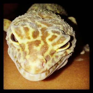 Her Pretty Face