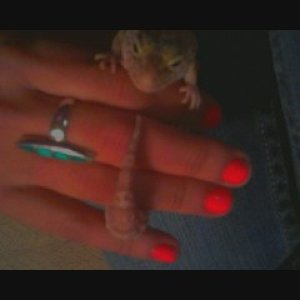 Xena Bracelet. She was pregnant here