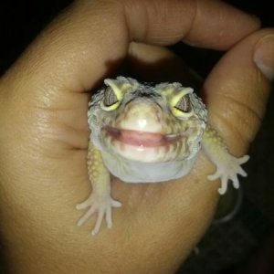 Xena smiling for the camera