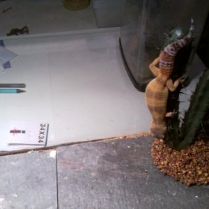 Don't look down!