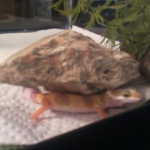 Hide and seek :P