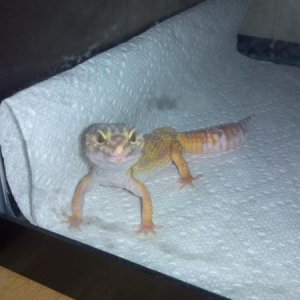 She says but momma im still hungry, i hope your bringing more food!