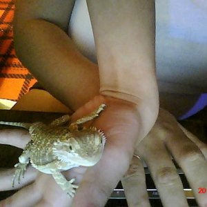 Picture0004 (3)