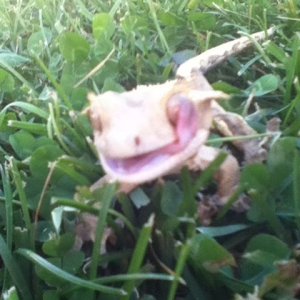 Robby enjoying the outdoors!