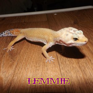 LEMMIE