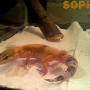 Sophie Looks At The Camera
