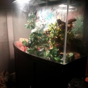 View from my bed