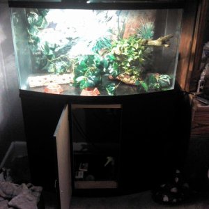 Front view...the lamp on the left - I accidentally left it on the glass top too long and cracked the glass!  Thankfully Squid was not near this!