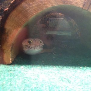 Smile for the camera!!! :)