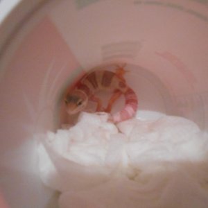 No Name Yet
