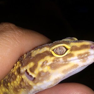 April: eye