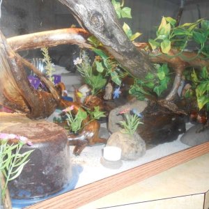 Was trying to go for a more natural look after my first spray foam attempt... turns out this one has way to much &%#^ He didn't like it....I'm guessin