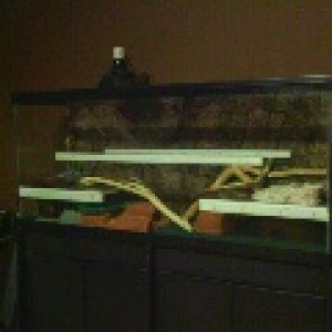 Front bottom shelfs in