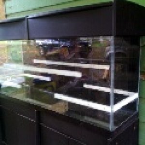 Shelf racks in