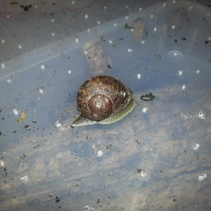 20141206 191854 resized